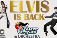 elvis is back - teatro centrale